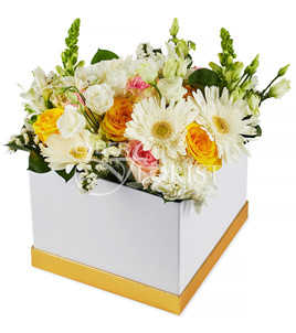chrysamthemums and roses in a box. Auckland